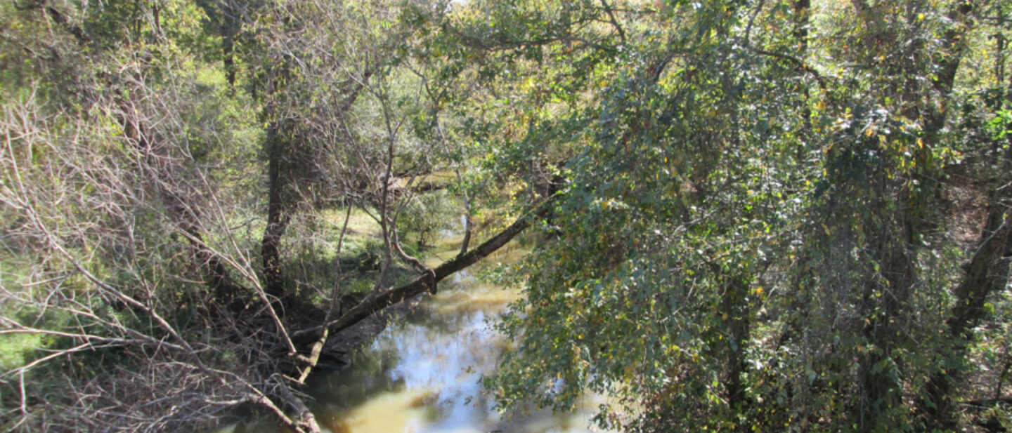 Angelina River 1