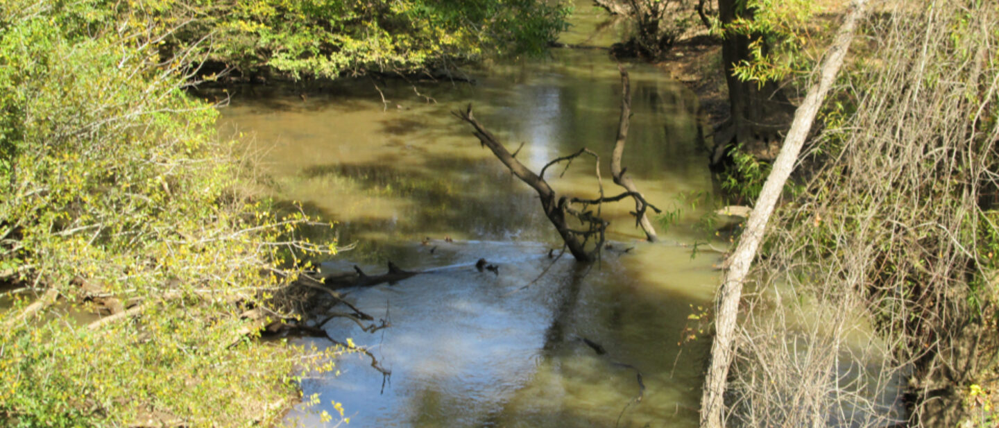 Angelina River 4