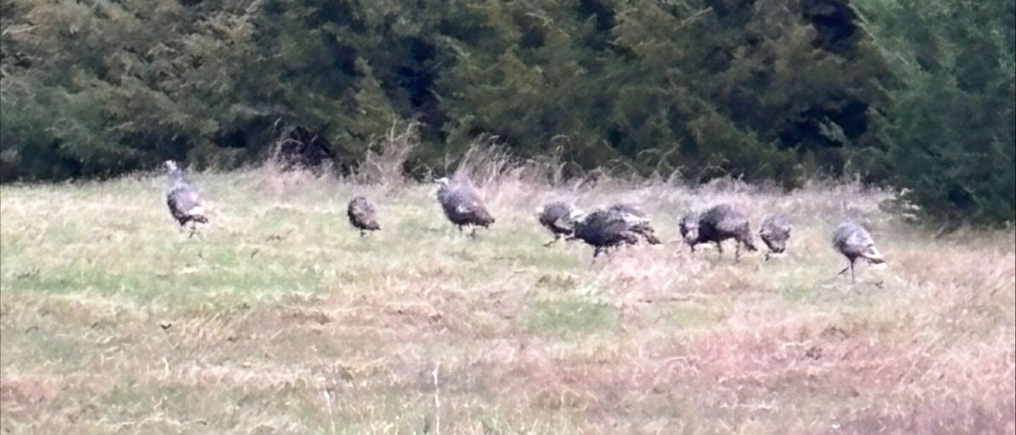 B63217 A1 8 B91 40 D5 BBC4 A0 CBFE5 F41 F6