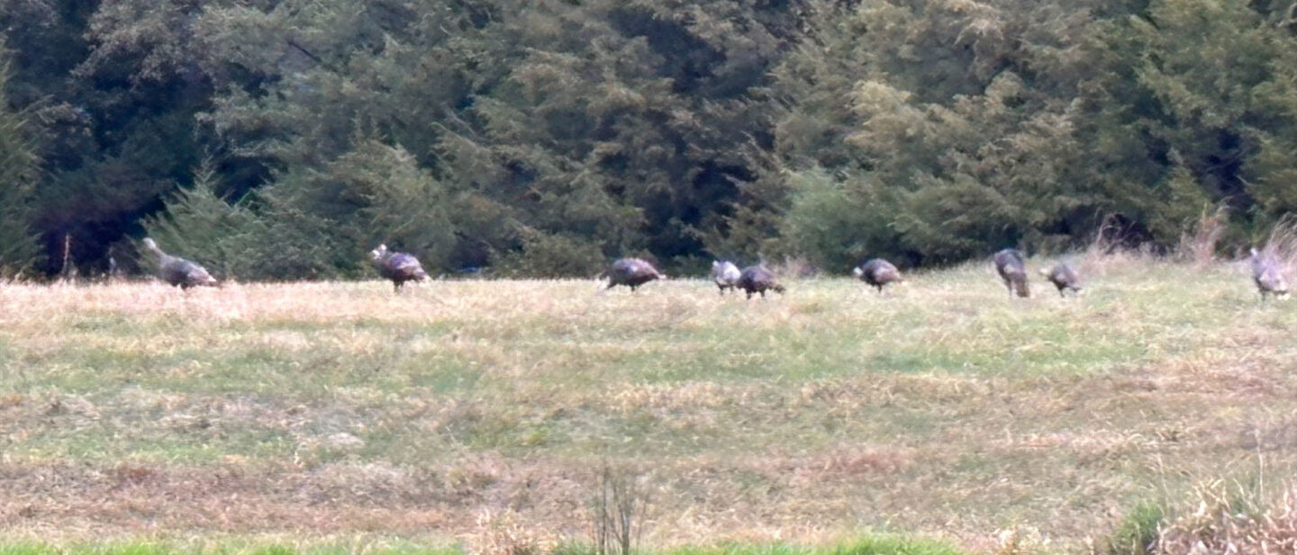 BE339316 0628 4814 9 ADE 4 B6 DB5 B93 BDF