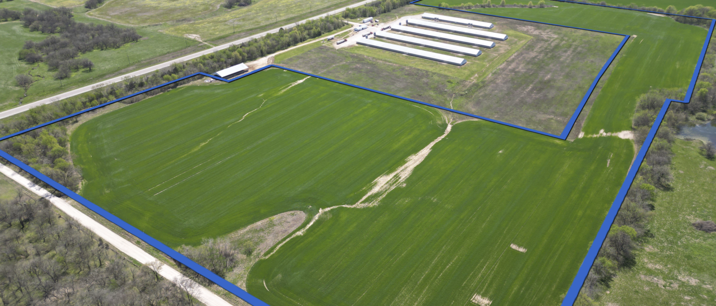 BORDER A 22480 Feature