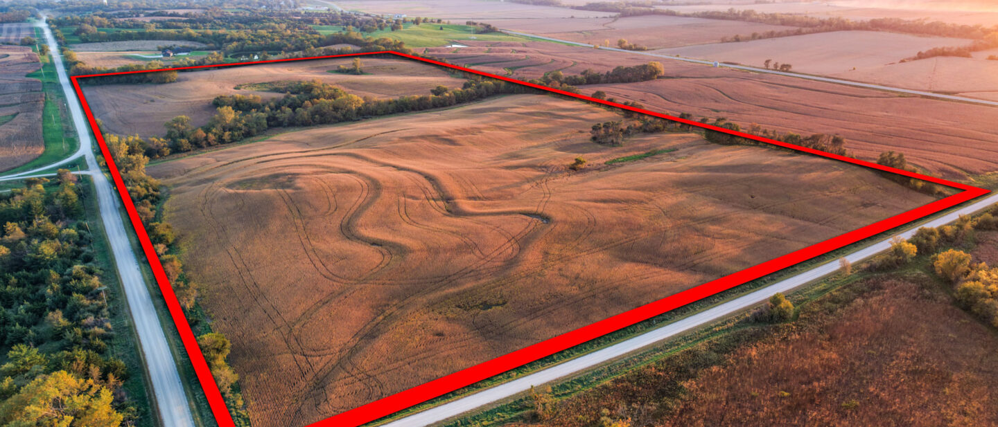 BORDER Pano 01