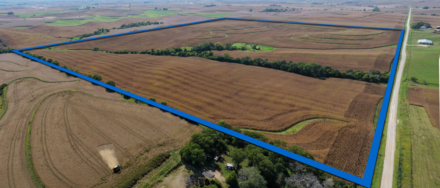 BORDER Panorama 1