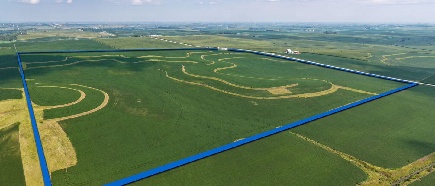 BORDER T1 POT Pano 02
