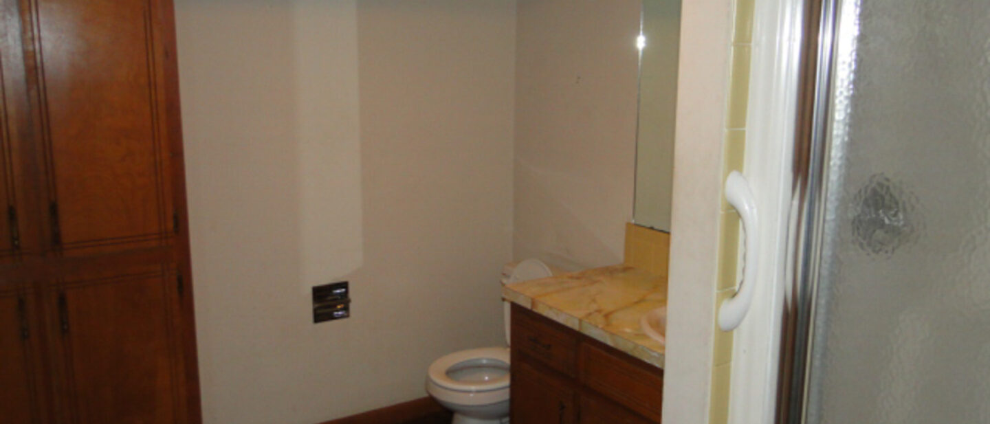 Basement Bathroom