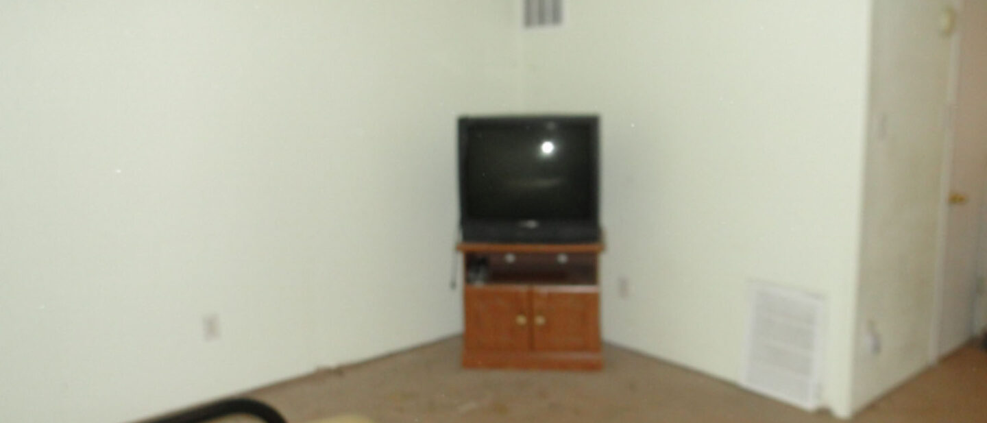 Basement Family Room