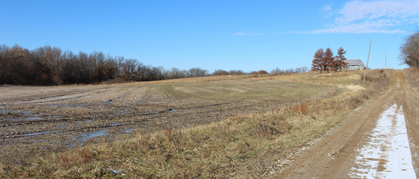 Bottom Field looking North