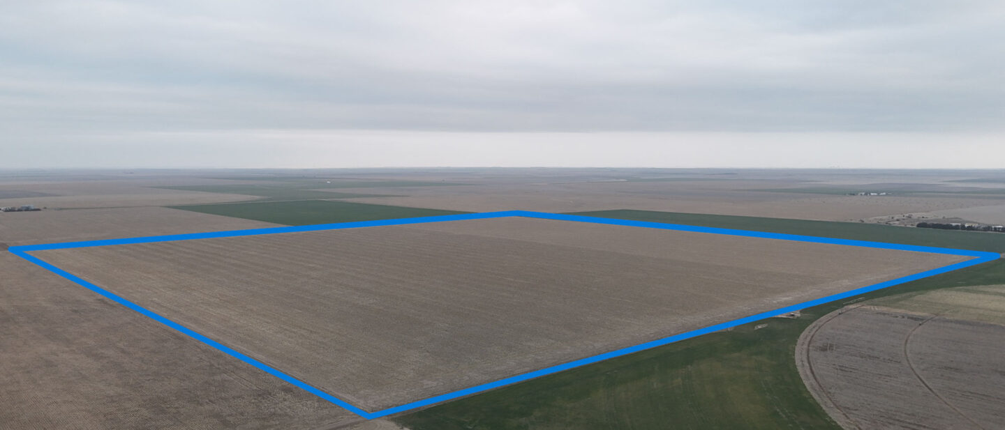 Boundary Looking SE from NW corner