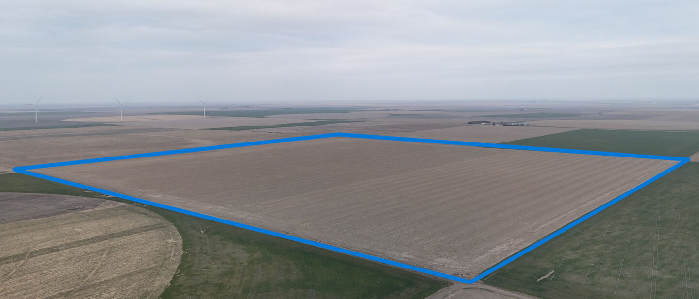 Boundary looking NE from the SW Corner