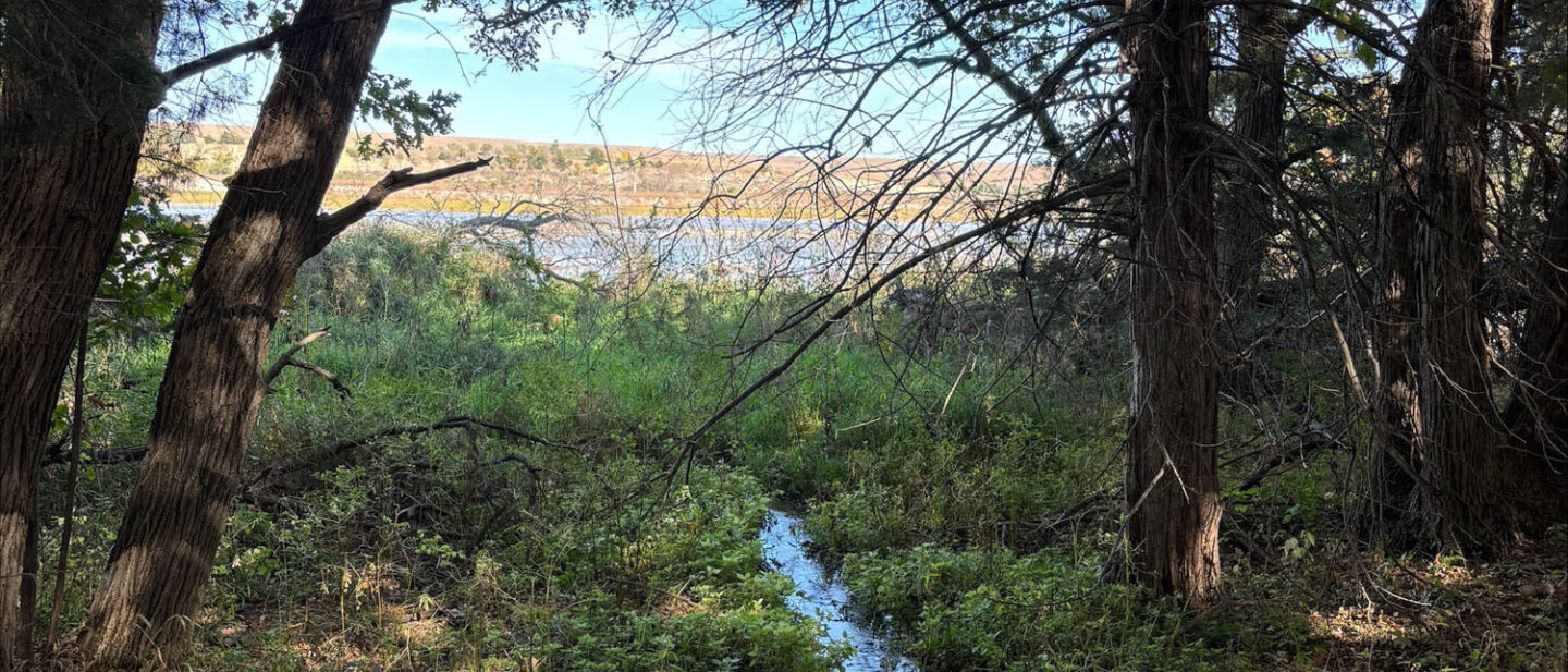 C084 D548 A3 F4 4 CA2 9 B11 E61 D109 A7295