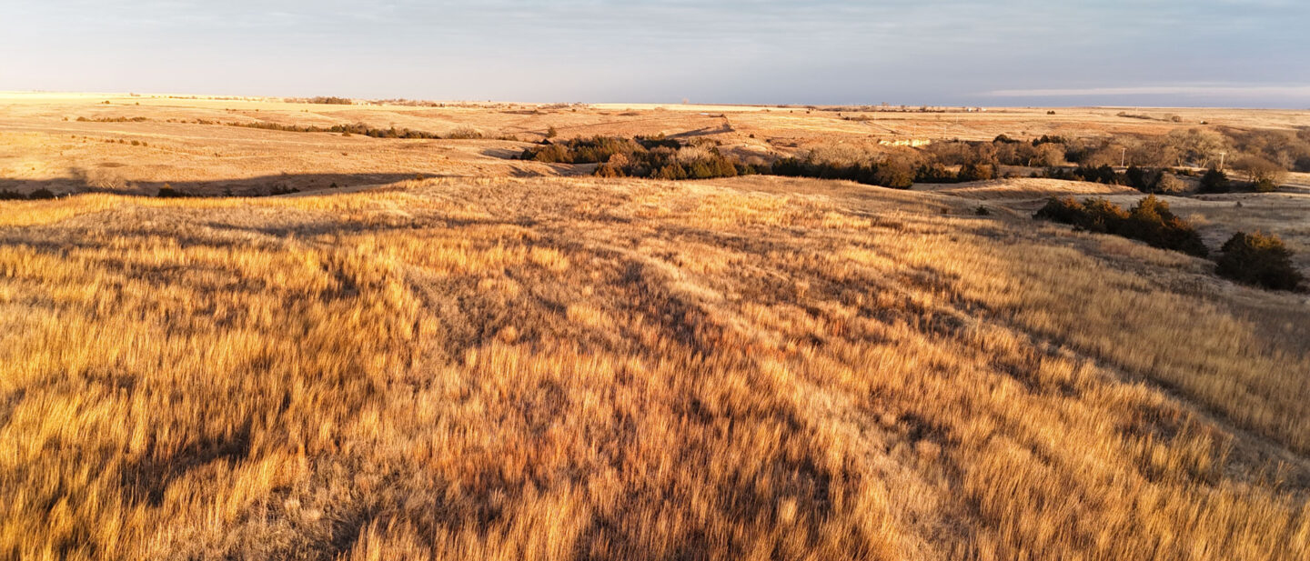 CRP Acres Looking East