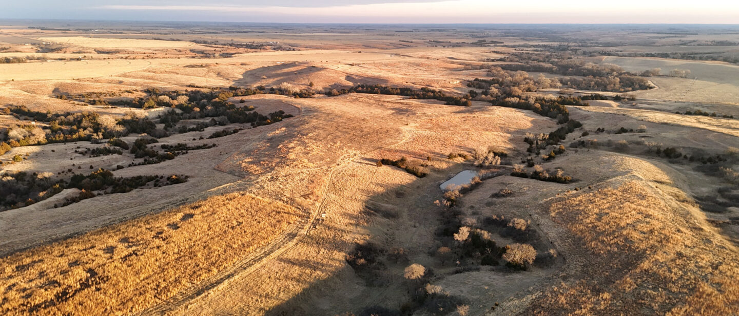 CRP Acres and Pond