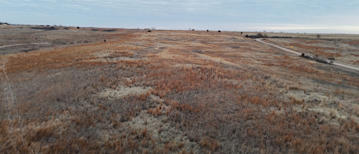 CRP Looking East