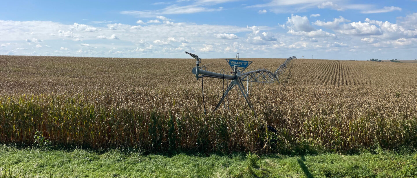 Corn and pivot tract 2