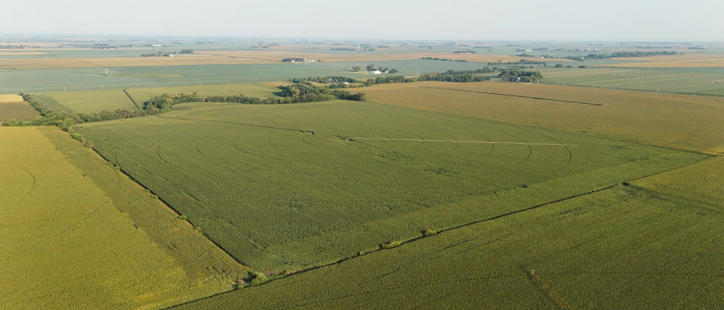 Cover Photo Saunders County Nebraska Irrigated Farm for Sale