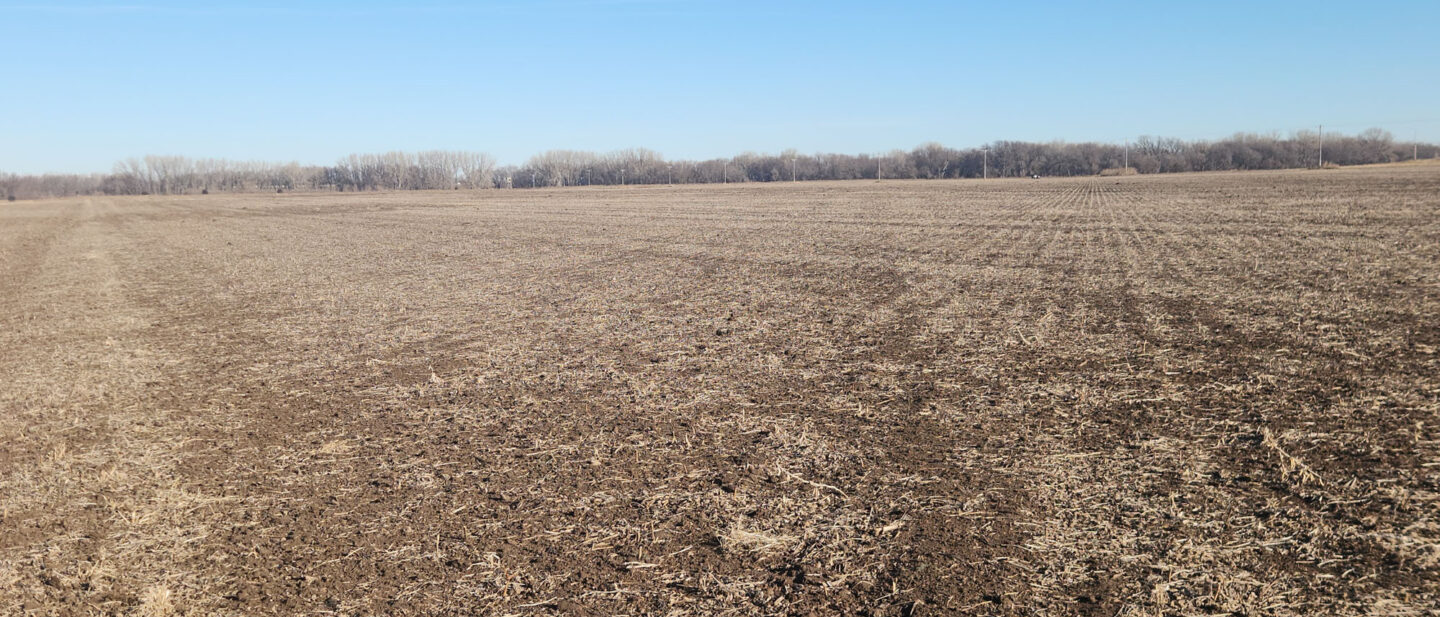 Cover soybean stubble