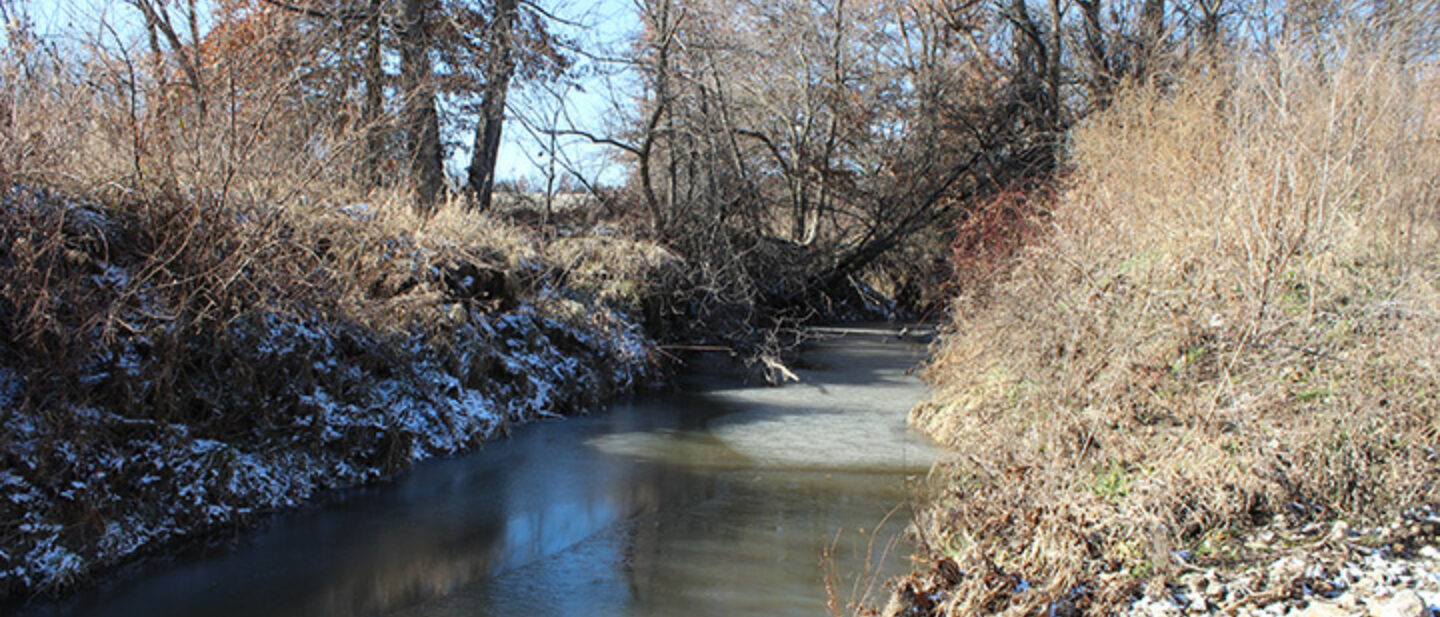 Creek at Road Crossing