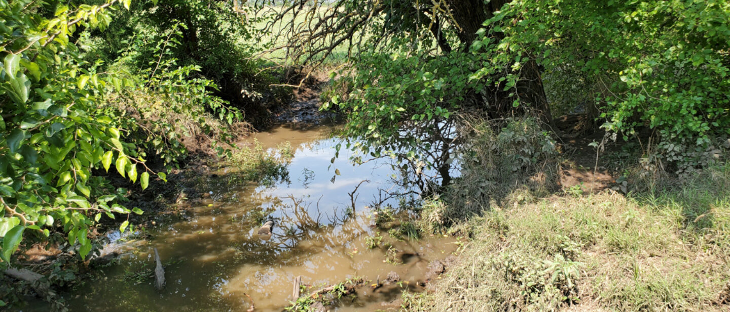 Creek in Pasture