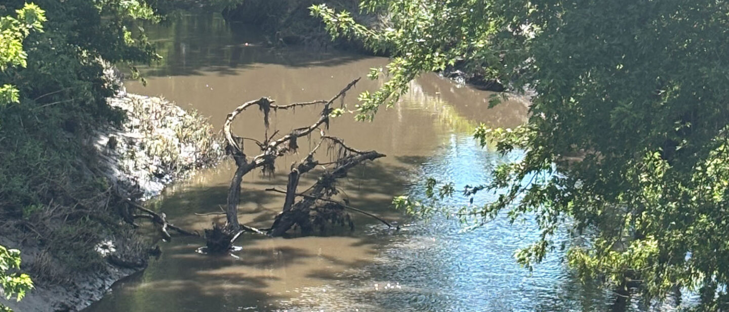 Creek on farm