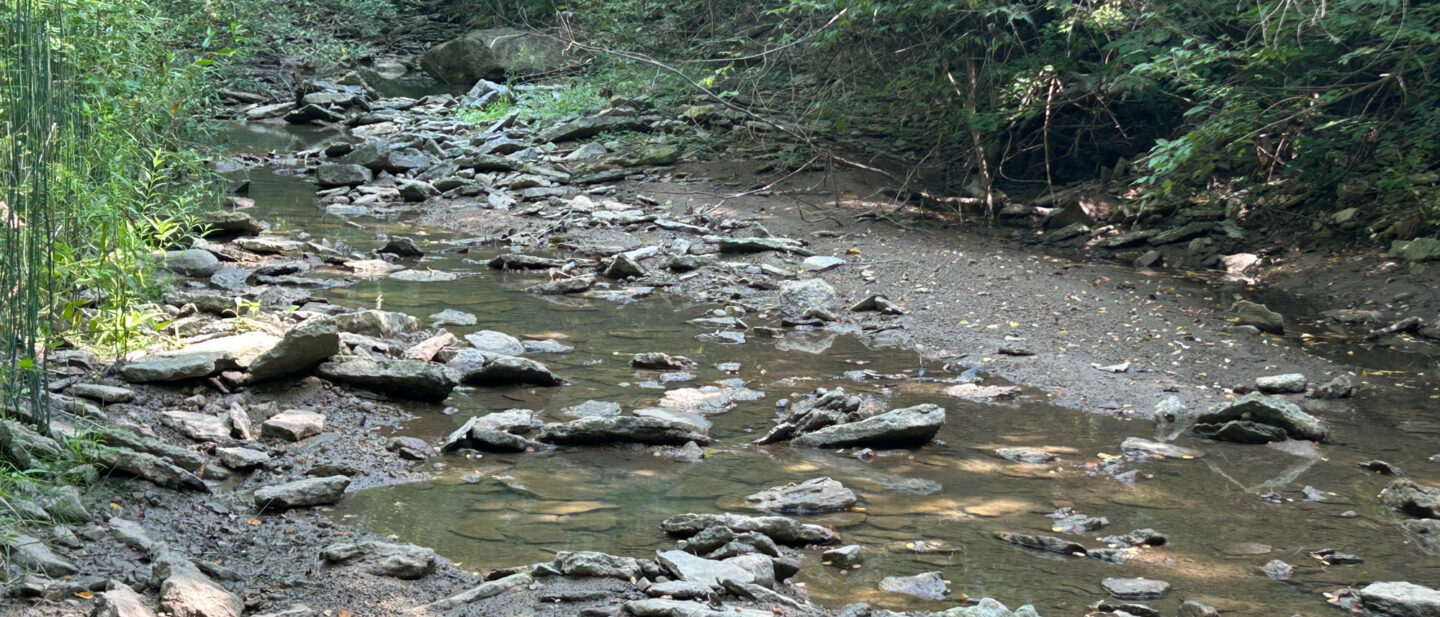Creek