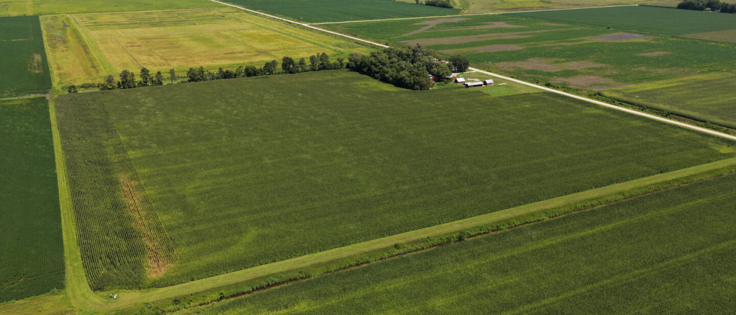 Cropland