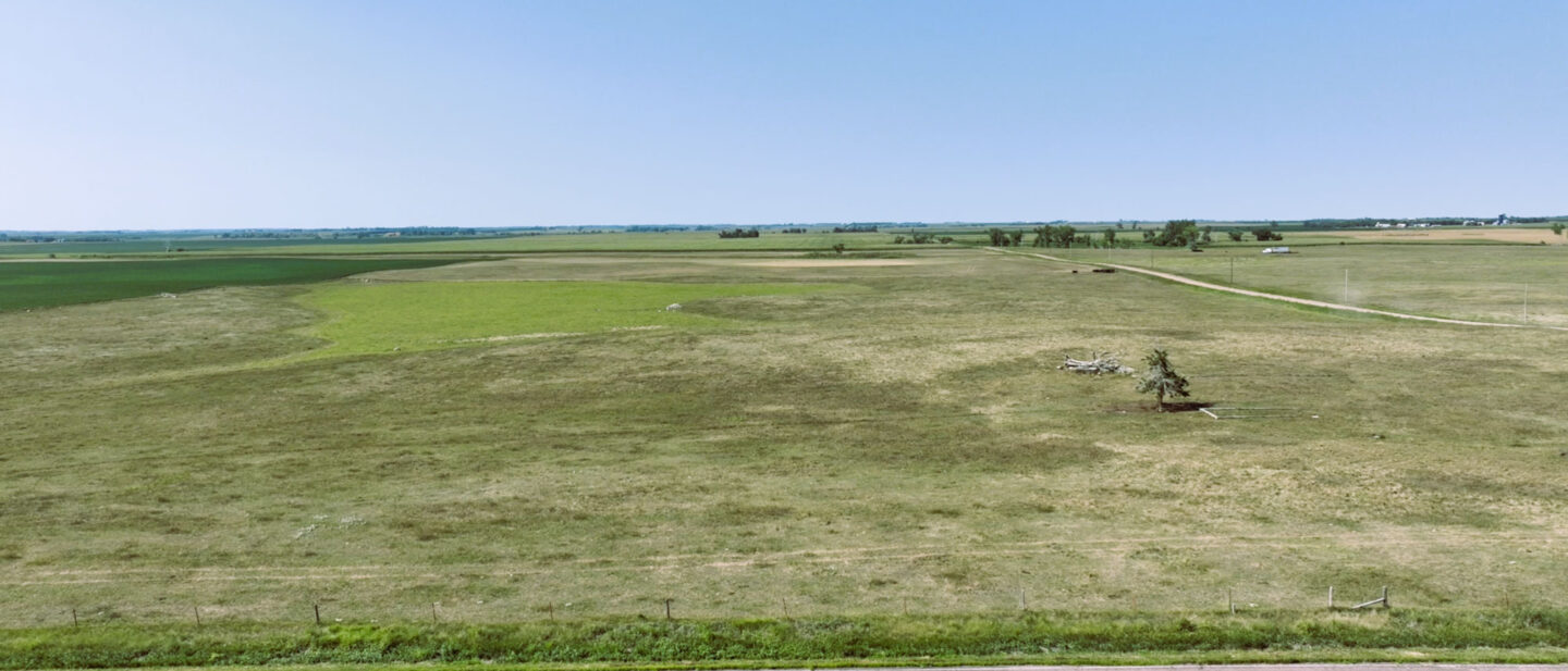 DC Pasture