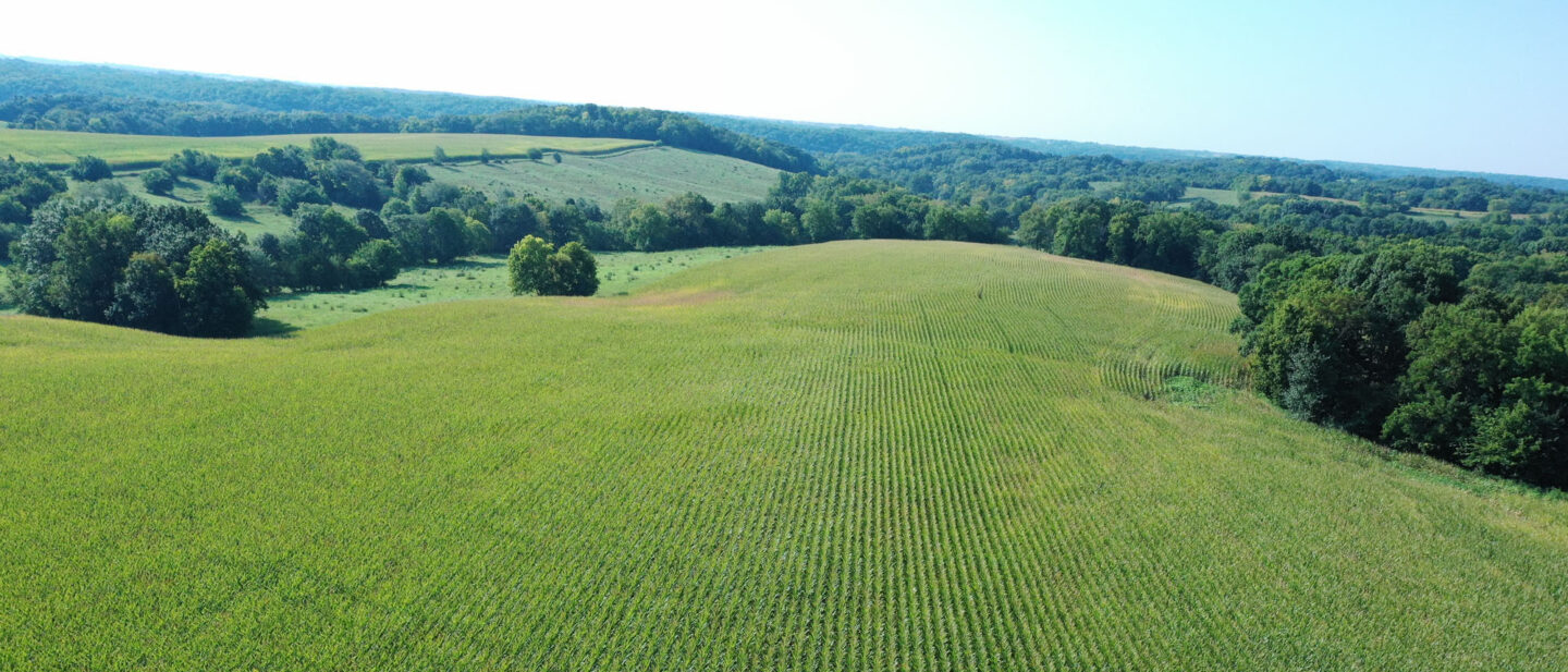 DJI 0027
