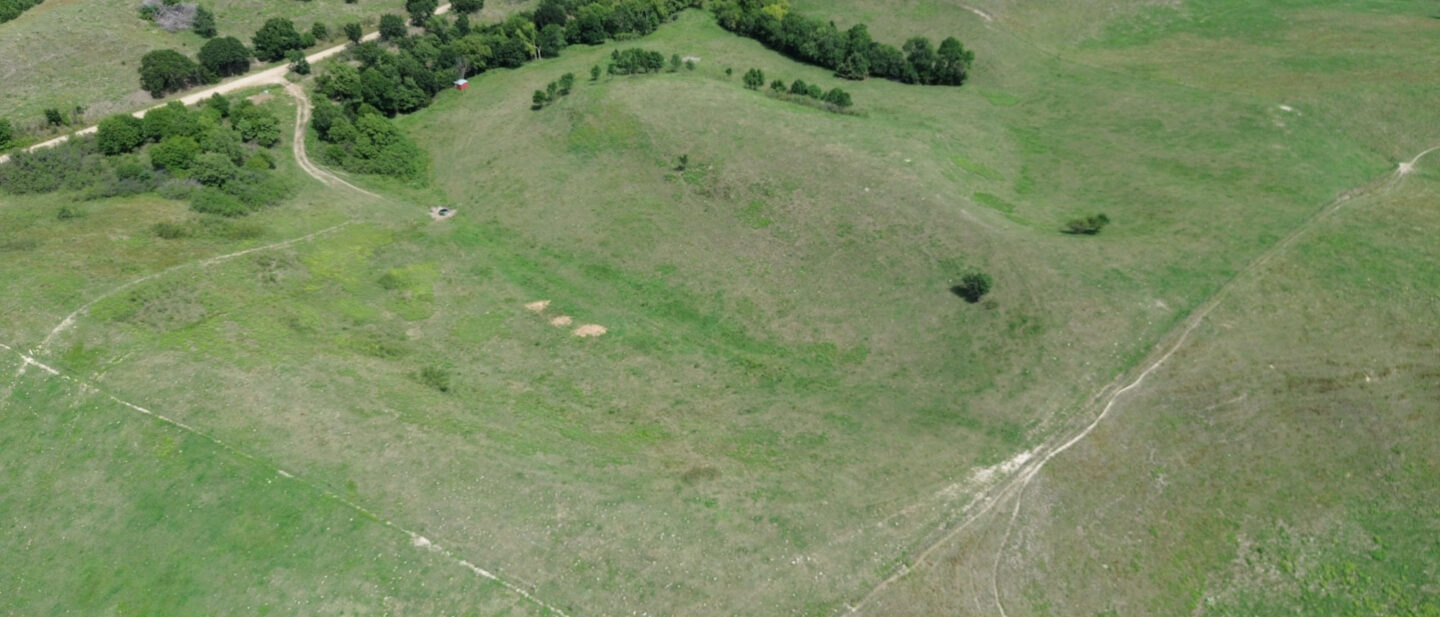 DJI 0031