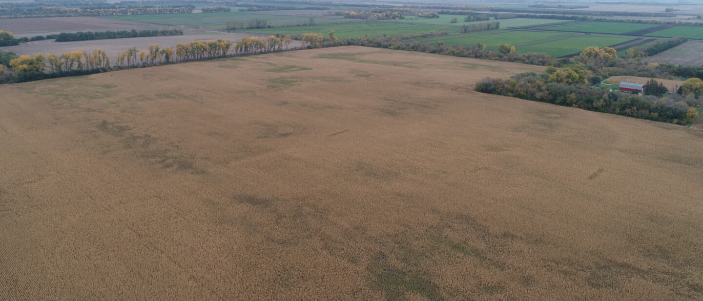 DJI 0042