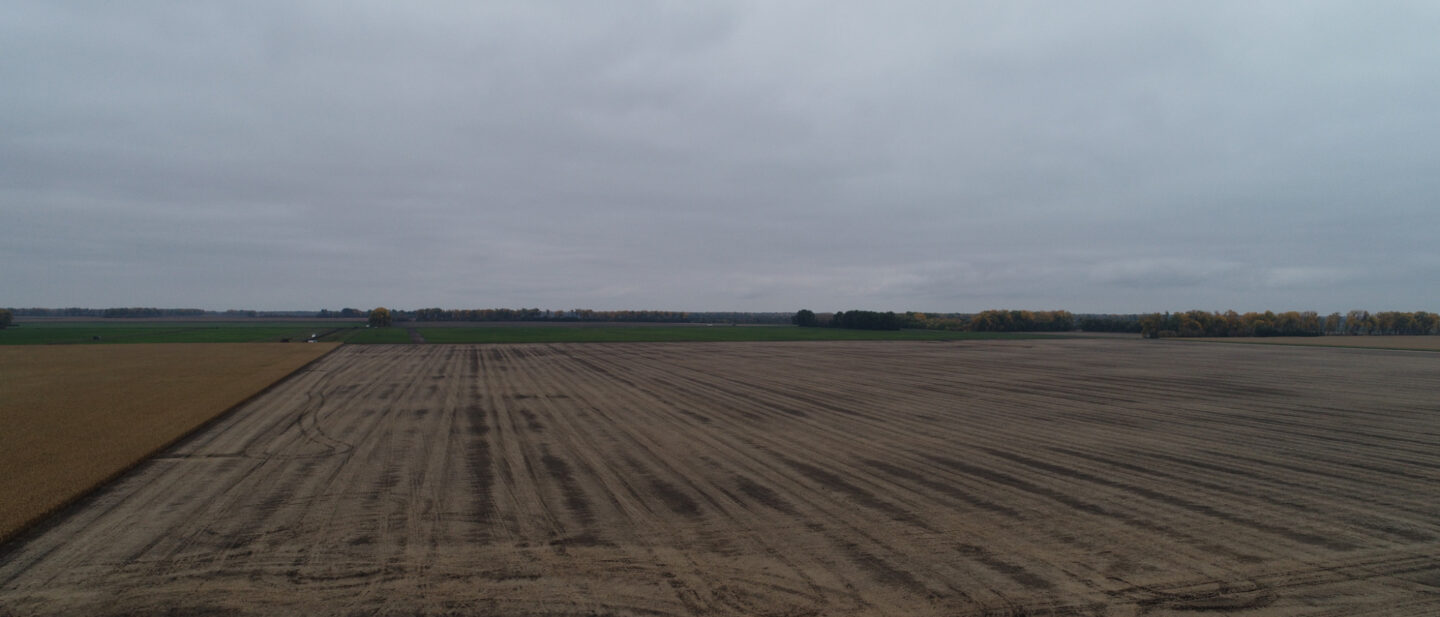 DJI 0046