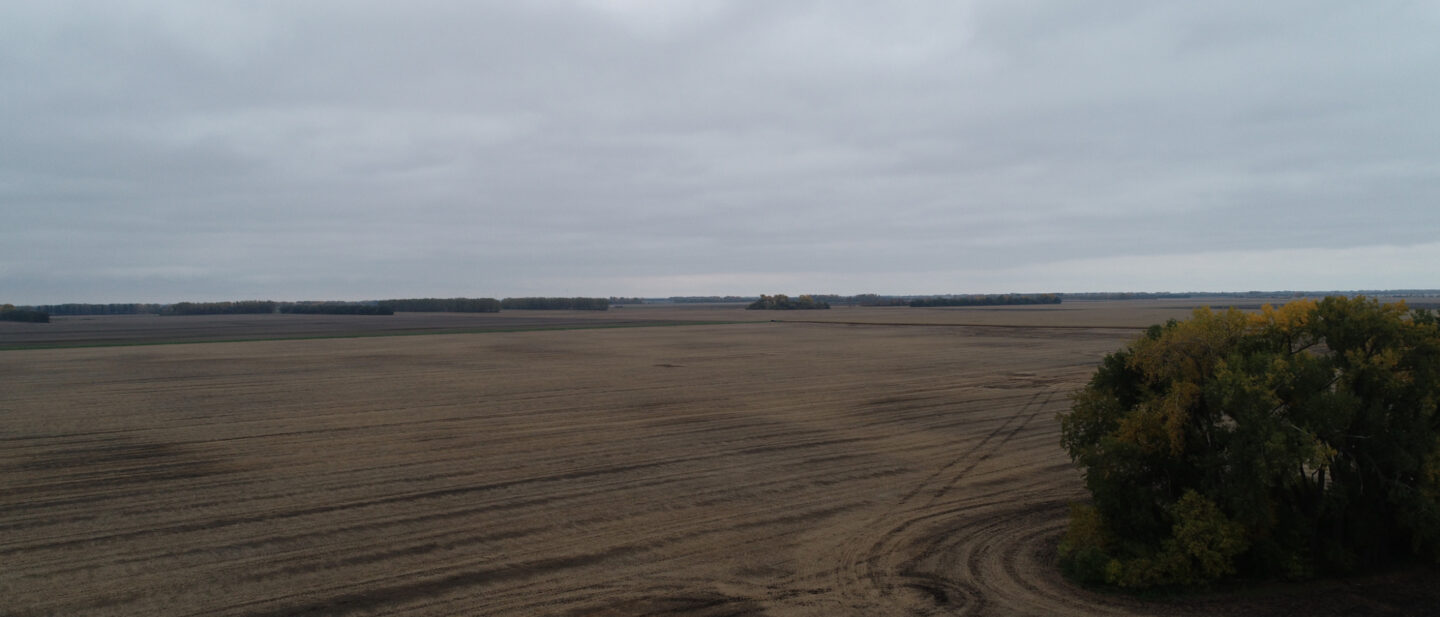 DJI 0049