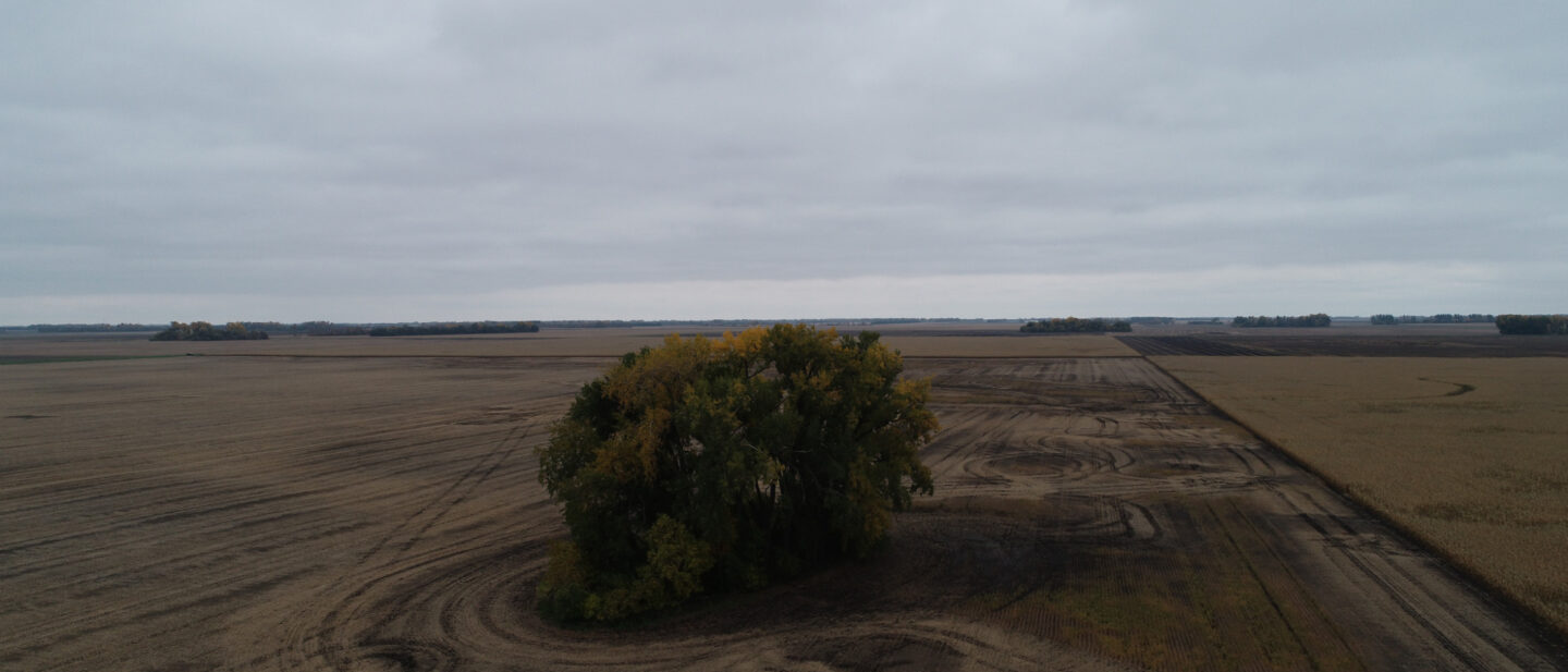 DJI 0050