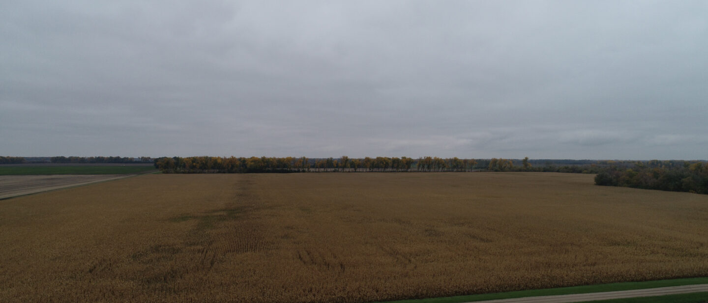 DJI 0052