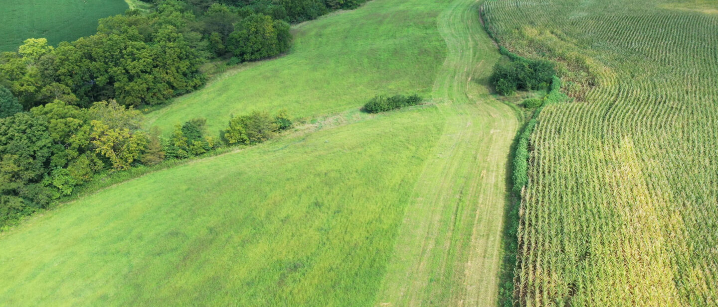 DJI 0058