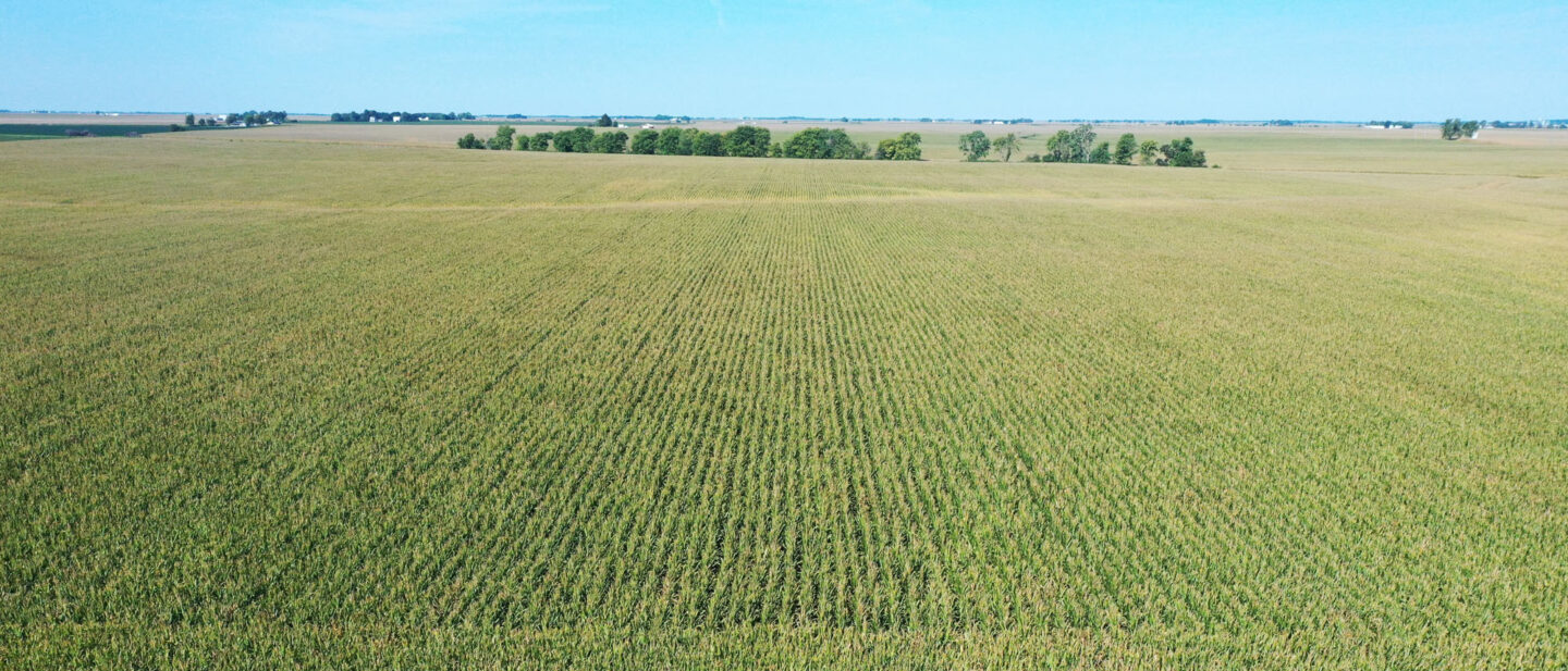 DJI 0062