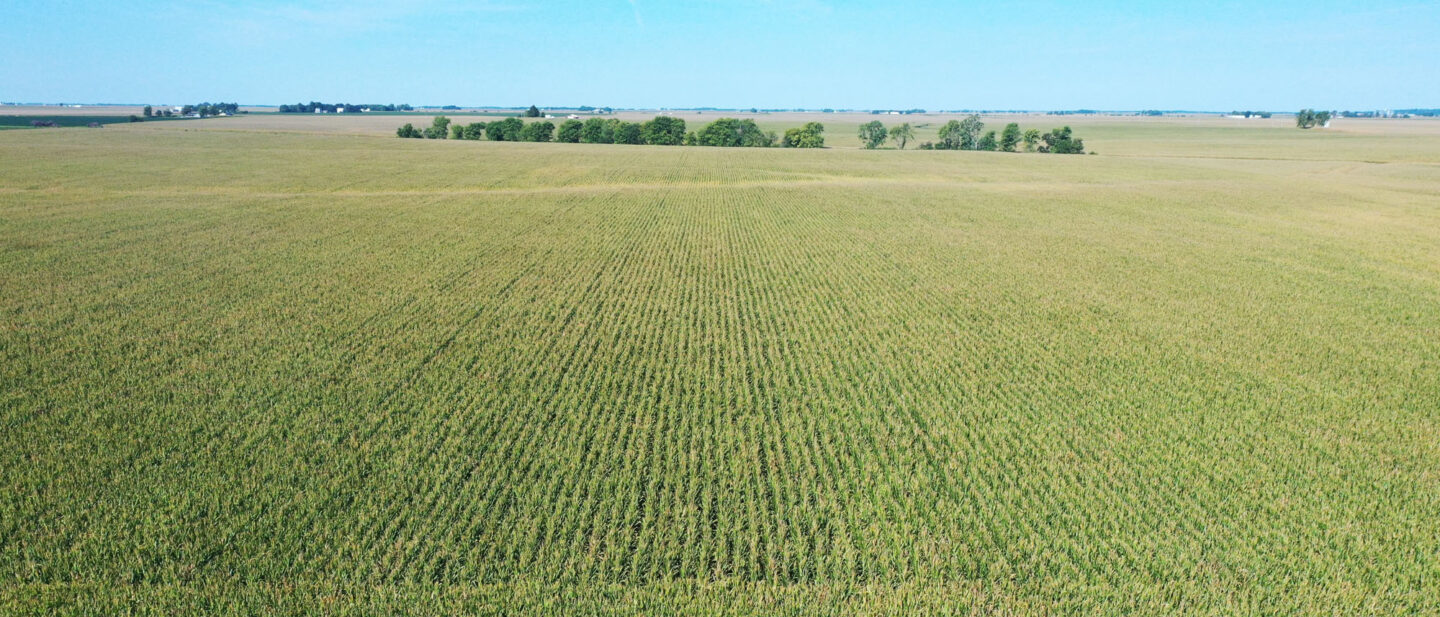 DJI 0063