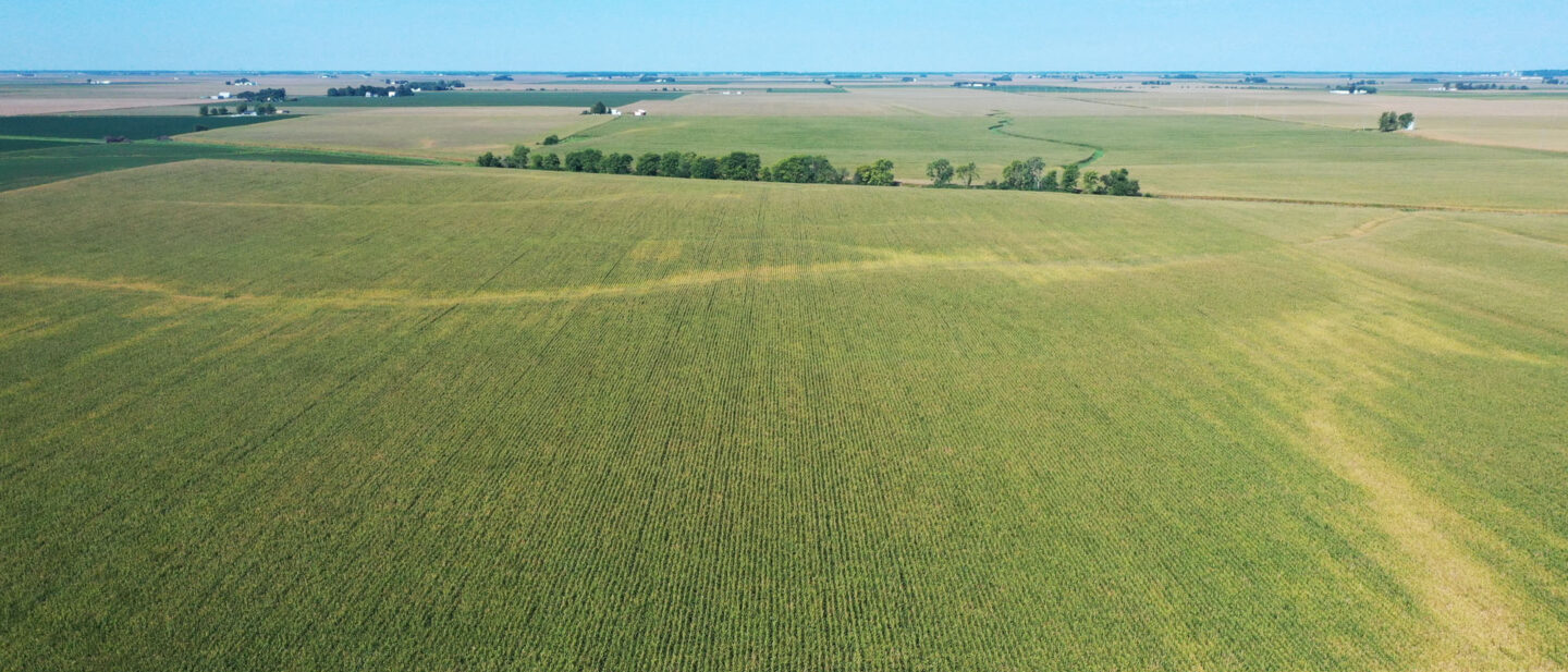 DJI 0065