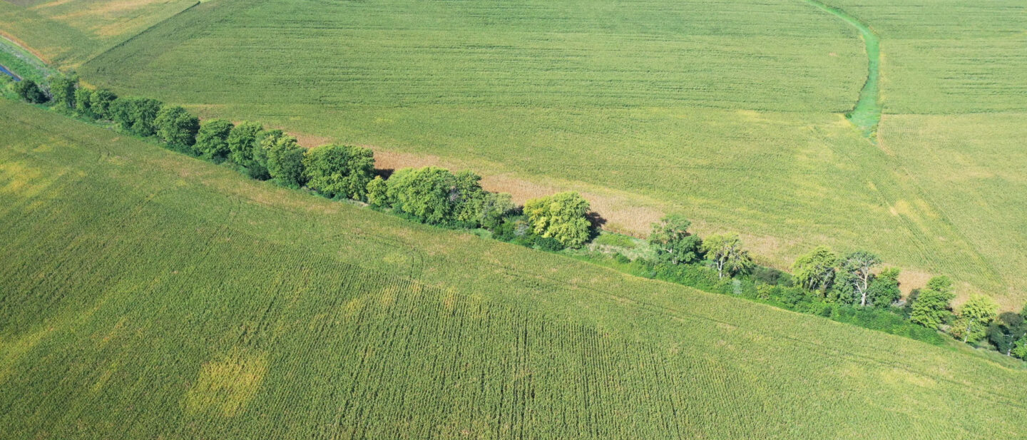 DJI 0072