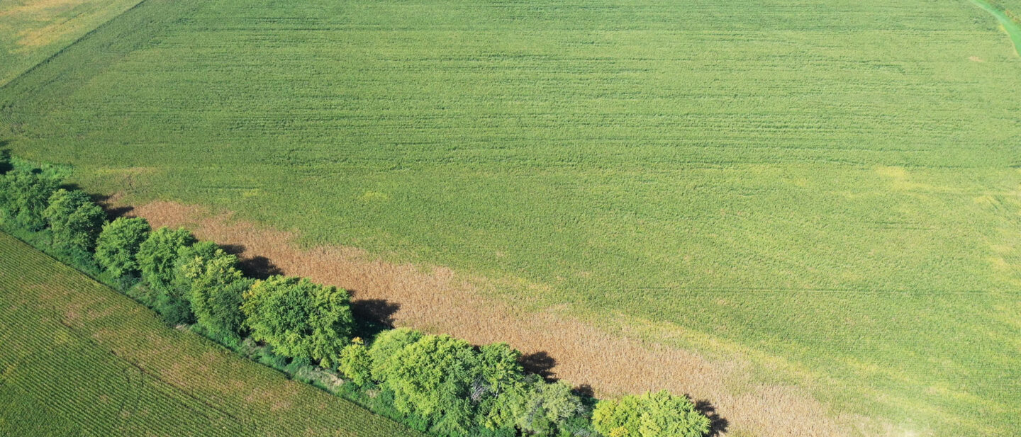 DJI 0073