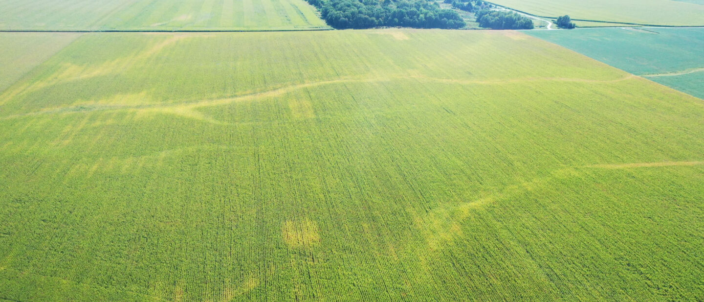 DJI 0074