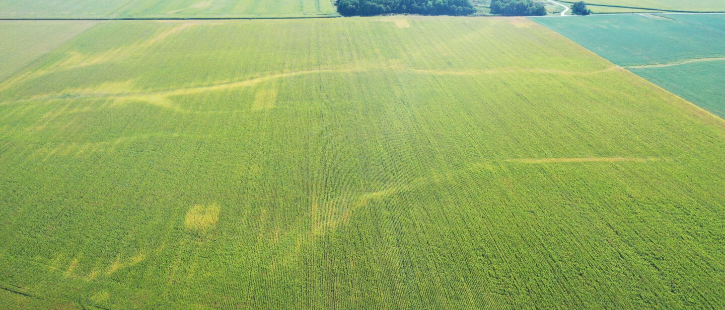 DJI 0076