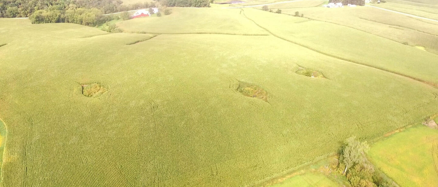 DJI 0081 frame at 3m10s