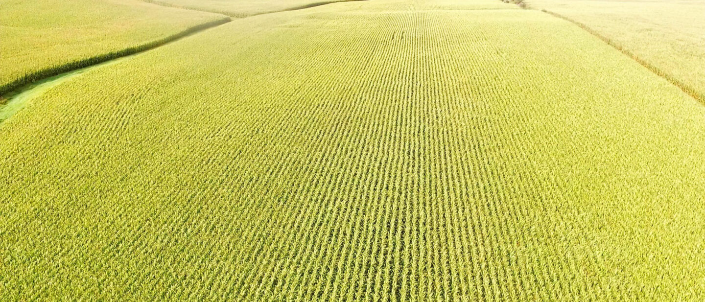 DJI 0082 frame at 0m2s