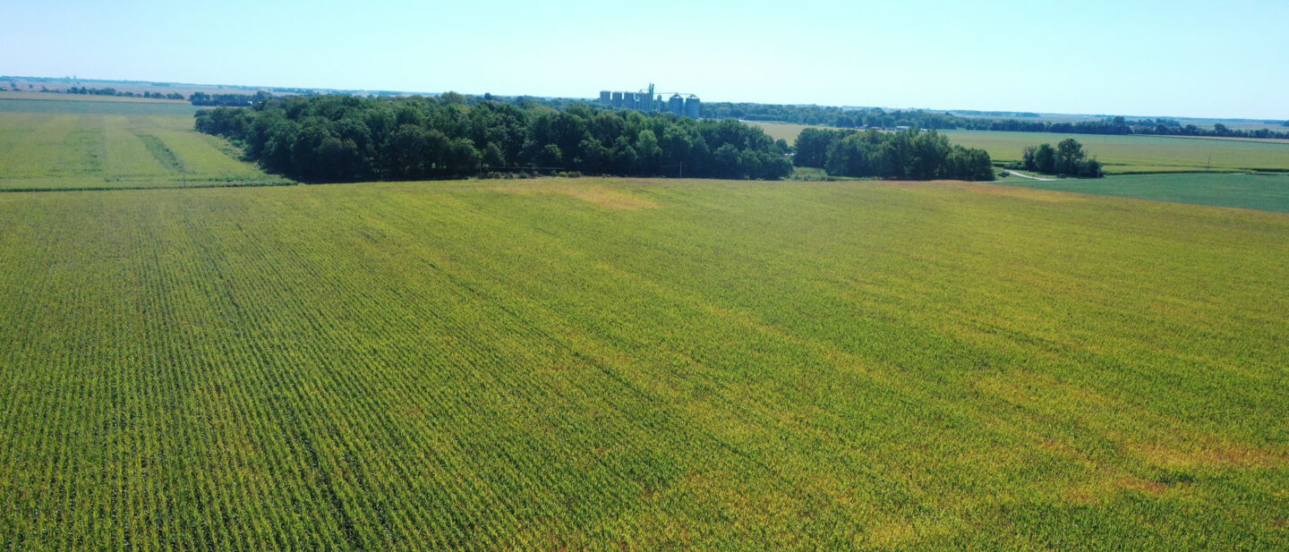 DJI 0083