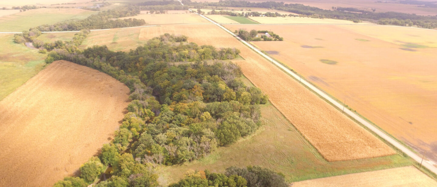 DJI 0113