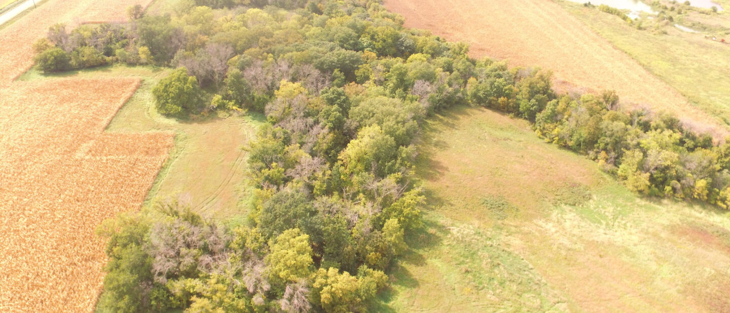 DJI 0123