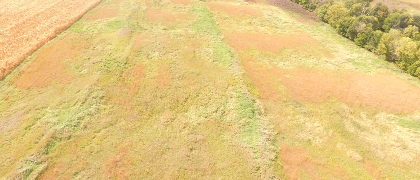DJI 0124