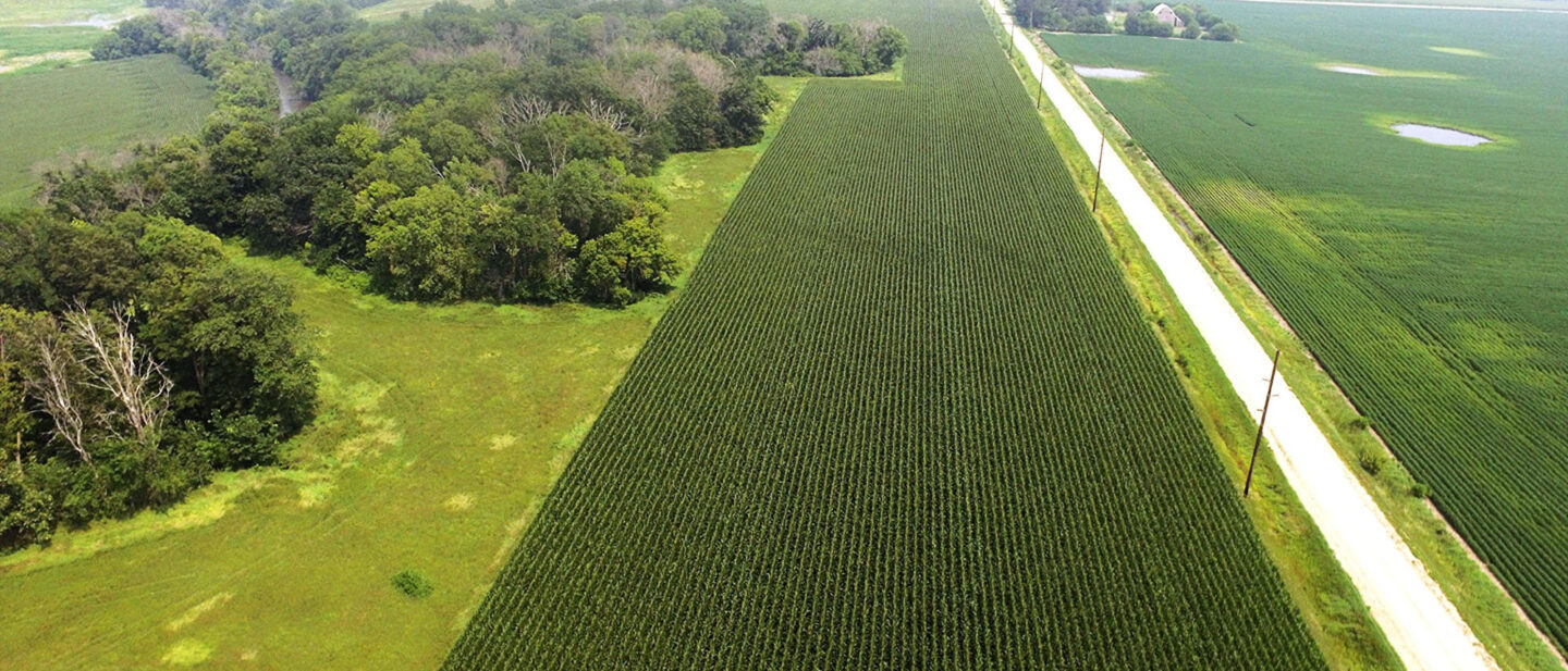 DJI 0163