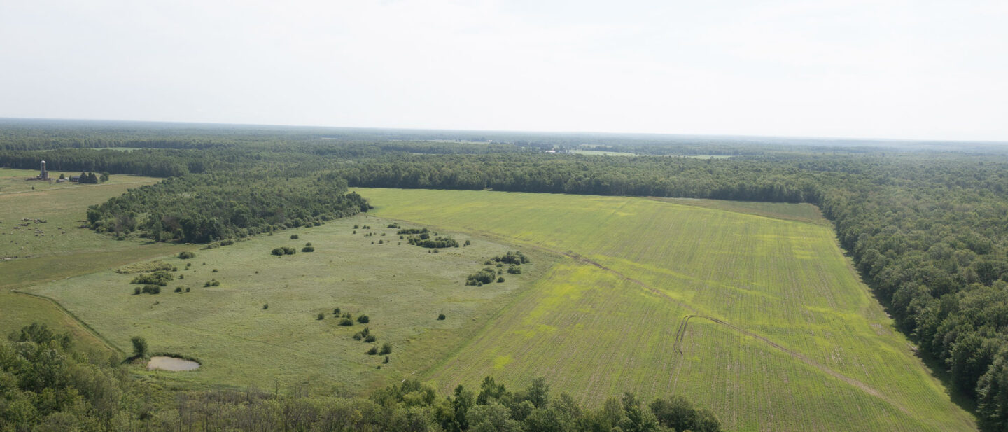 DJI 0213
