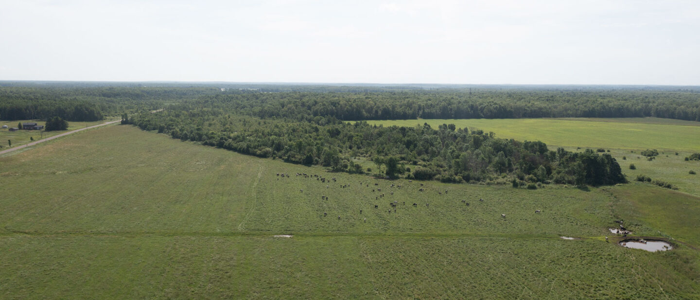 DJI 0216